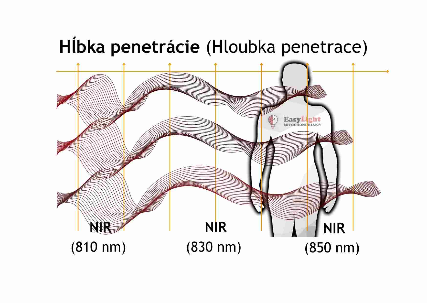 Mitochondriak® light therapy